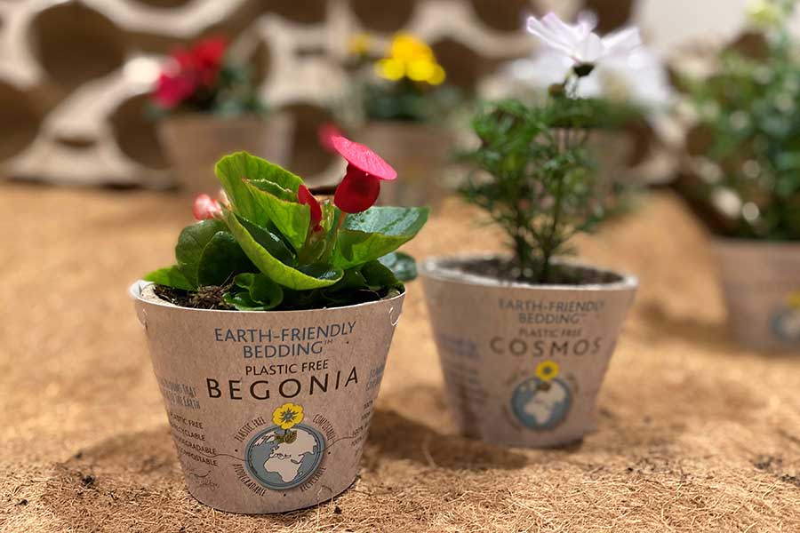 Earth friendly natural biodegradable plant pots